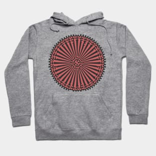 Reaction Diffusion Ornament (Rose Gold) Hoodie